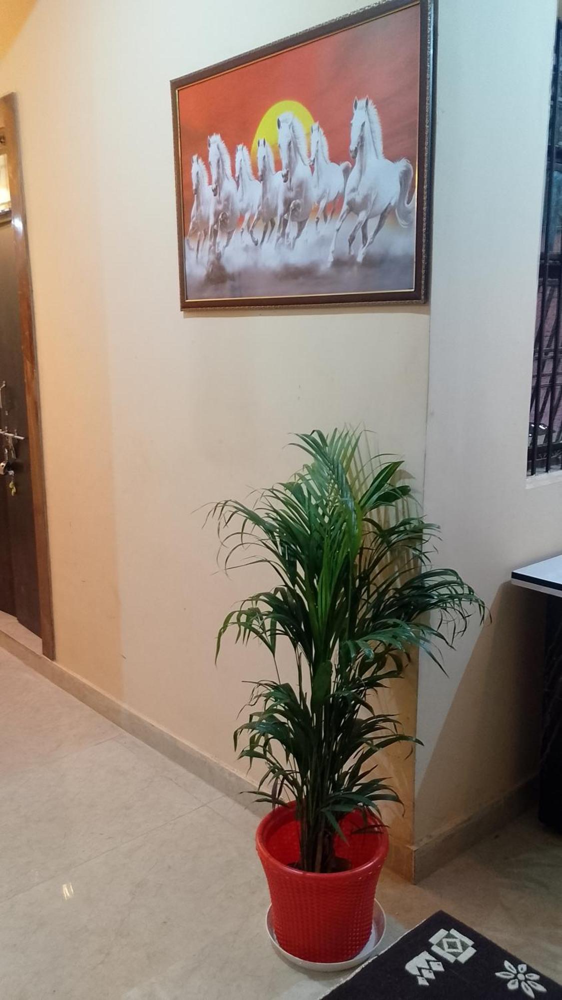 The Blessings Home Stay Agra  Exterior foto